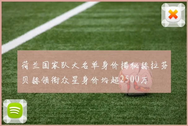 荷兰国家队大名单身价揭秘赫拉芬贝赫领衔众星身价均超2500万
