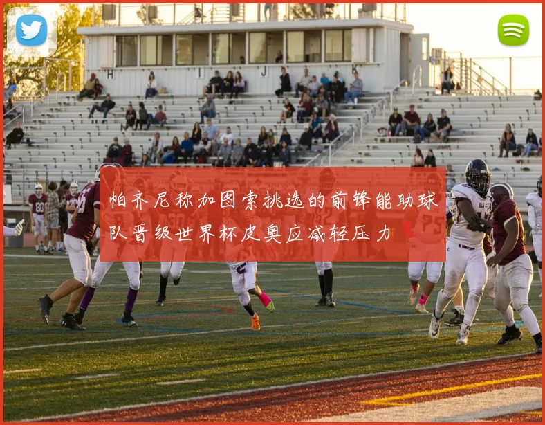 帕齐尼称加图索挑选的前锋能助球队晋级世界杯皮奥应减轻压力